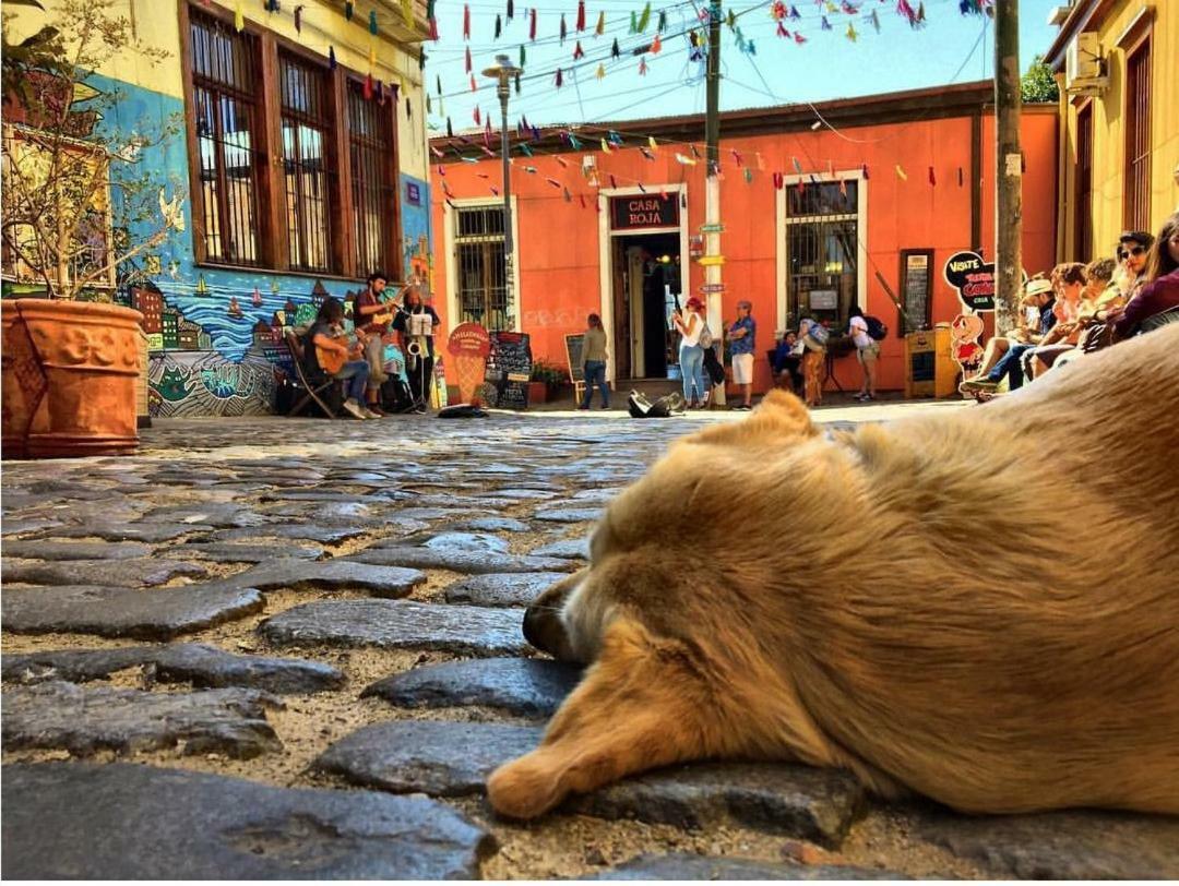 Casa Nomade Hotel Boutique Valparaíso Kültér fotó